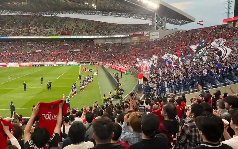 Crowd of fans cheering together in a packed stadium during a live game