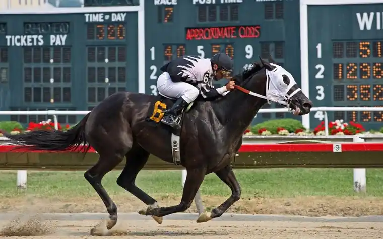 Racetrack scoreboard reading TICKETS PAY next to a horse and jockey in motion