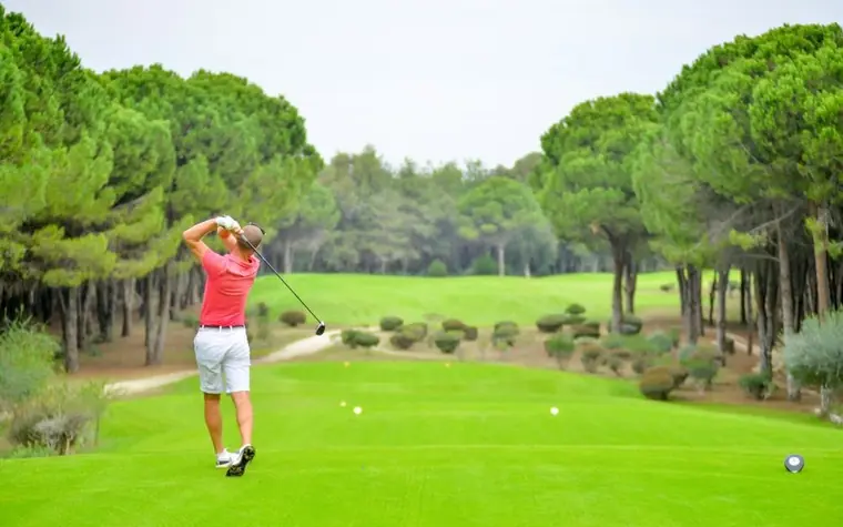 Golfer in a pink shirt following through on a tee shot down a fairway lined with tall pine trees