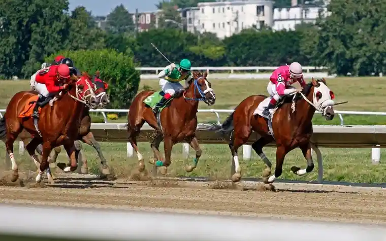 three jockeys in red, green and pink silks racing side by side on a dirt track with a white rail and trees behind