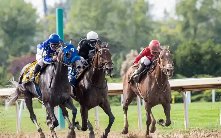 three jockeys in blue, white and red silks on galloping horses side by side on a dirt track beside a white rail