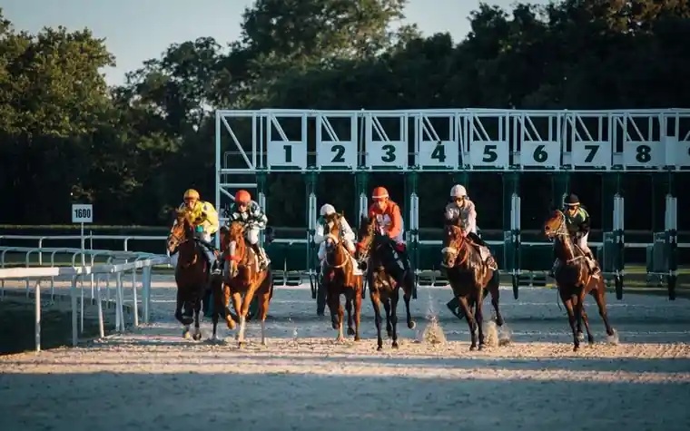five jockeys on horses leaving a metal starting gate numbered one to eight on a sand track with trees behind