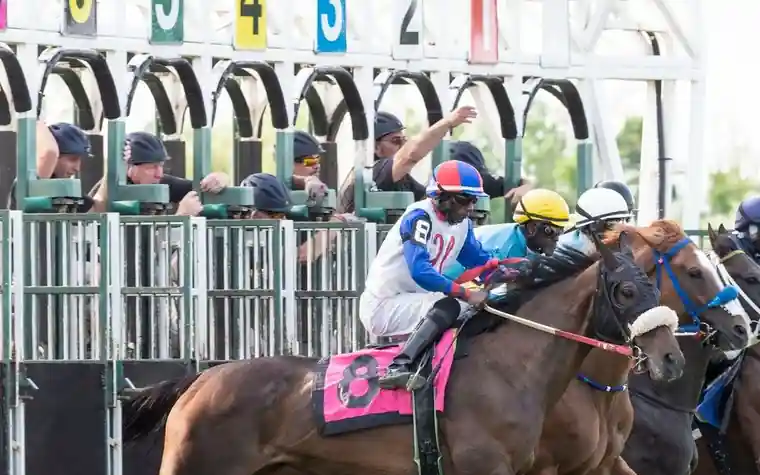 a jockey in blue and white silks and a yellow-capped rider leaning forward on horses leaving a starting gate, with a pink saddle cloth in the foreground