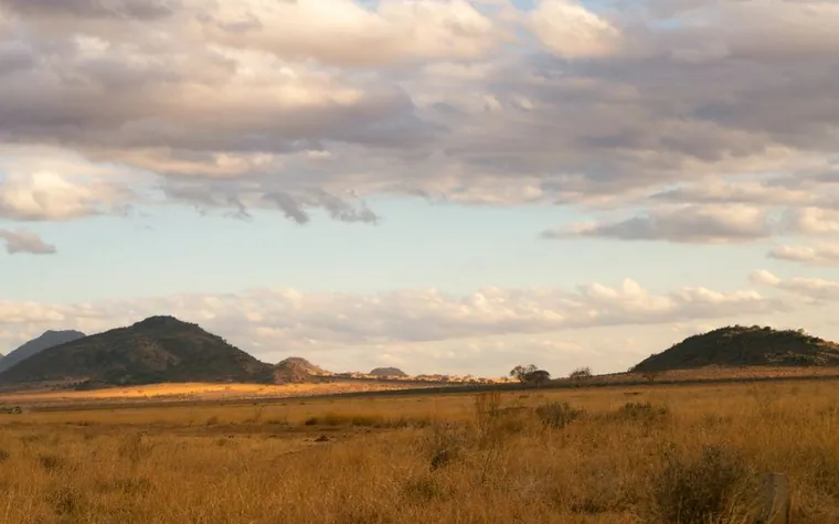 Golden grassland plain with two rounded hills under a cloudy sky at sunset, typical South African bushveld landscape
