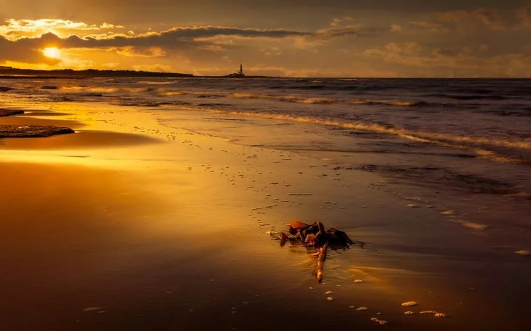 Golden sunrise reflected on wet sand at the shoreline, with small waves and a faint tower on the horizon
