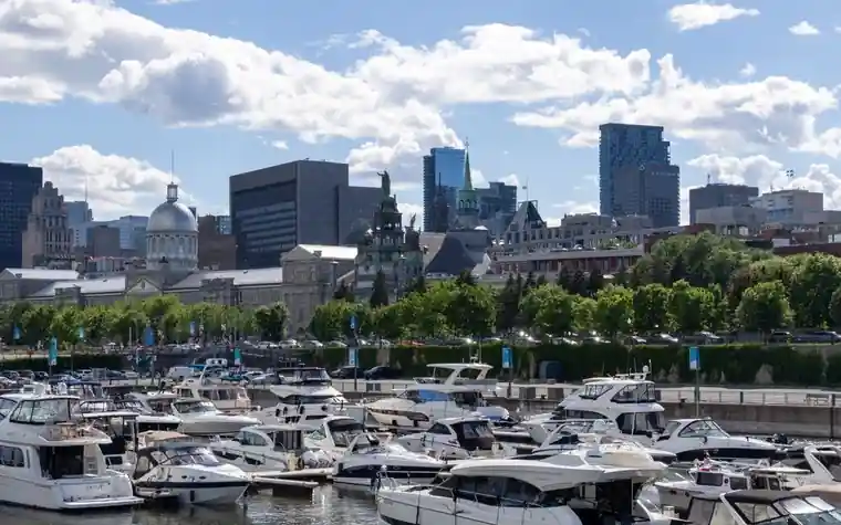 Marina in a historic port with many moored motor boats, trees along the quay, and a city skyline behind