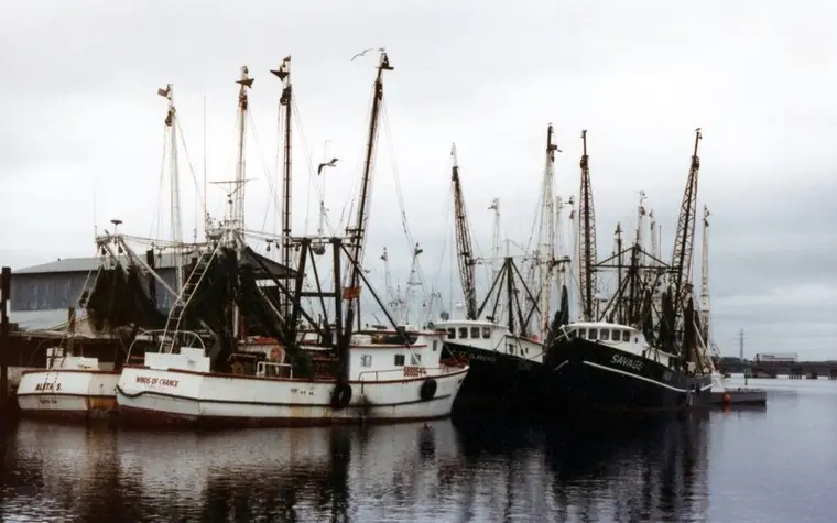 Several white shrimp trawlers with tall masts docked side by side at a harbor under an overcast sky, reflected in still water