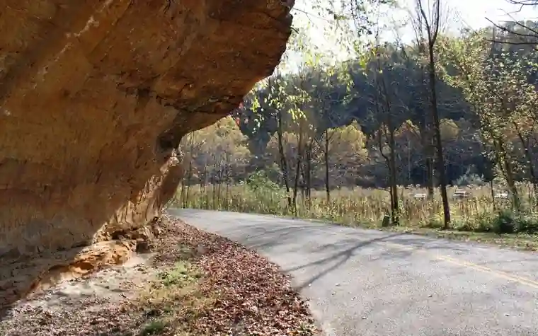 narrow paved road curving beneath a large sandstone rock overhang beside bare trees and dry leaves in an Ohio state park